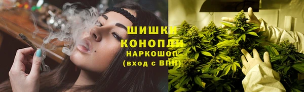мет Пестово