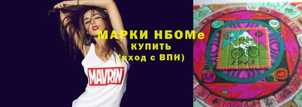 Альфа ПВП Пересвет