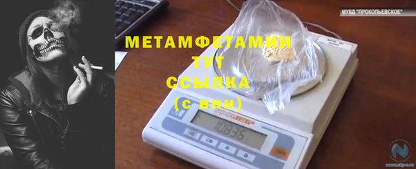мет Пестово
