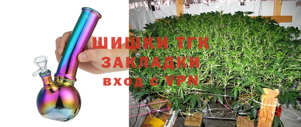 Альфа ПВП Пересвет