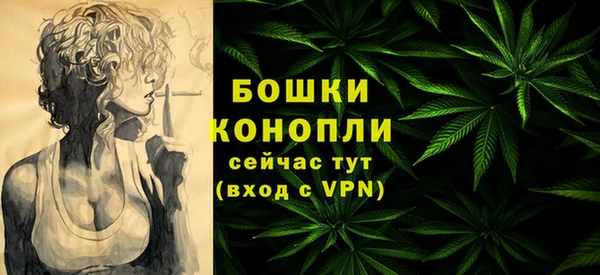 Альфа ПВП Пересвет