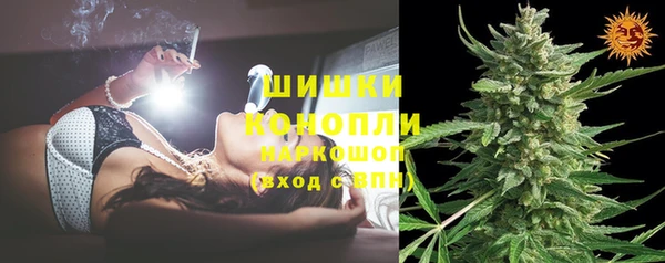 Альфа ПВП Пересвет