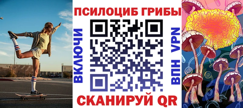 Псилоцибиновые грибы Psilocybine cubensis хочу даркнет телеграм Сальск